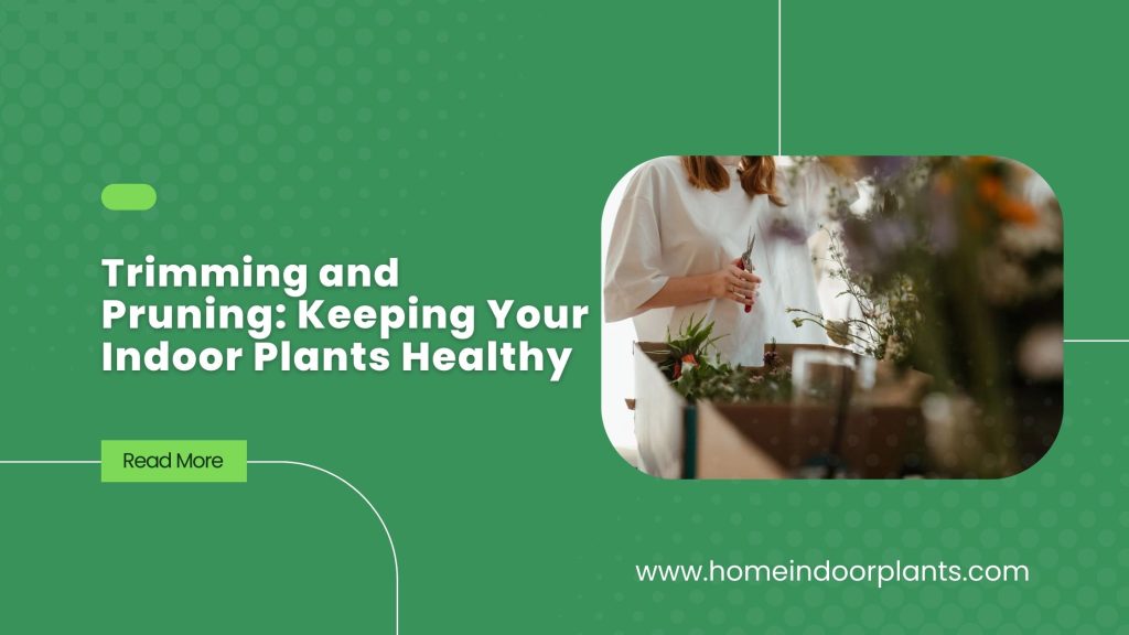 Trimming and Pruning Keeping Your Indoor Plants Healthy